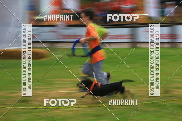 Buy your photos of the eventExpocani Vai Tot Canicross on Fotop