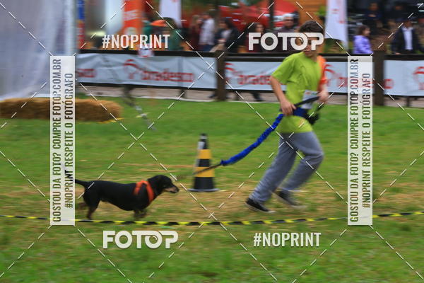 Buy your photos of the eventExpocani Vai Tot Canicross on Fotop