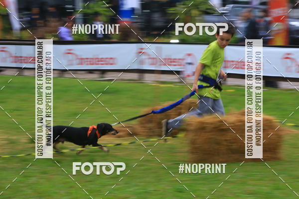 Buy your photos of the eventExpocani Vai Tot Canicross on Fotop