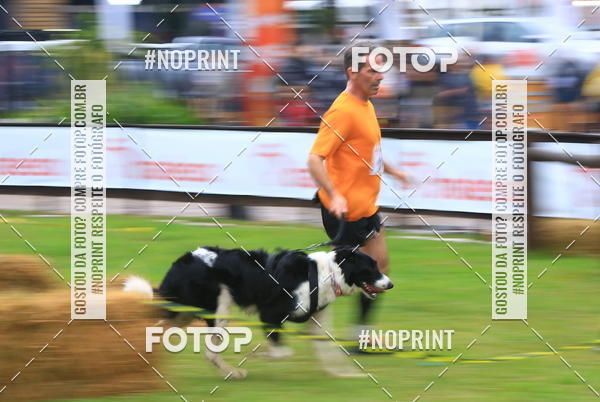 Compre as suas fotos do eventoExpocani Vai Tot Canicross no Fotop