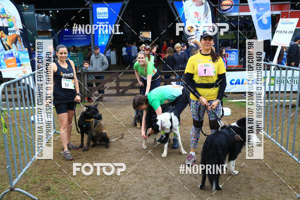 Buy your photos of the eventExpocani Vai Tot Canicross on Fotop