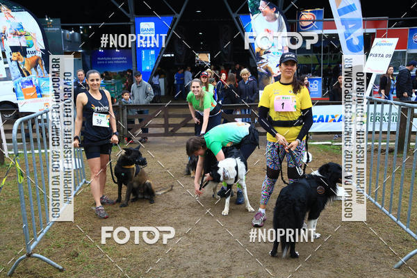 Buy your photos of the eventExpocani Vai Tot Canicross on Fotop