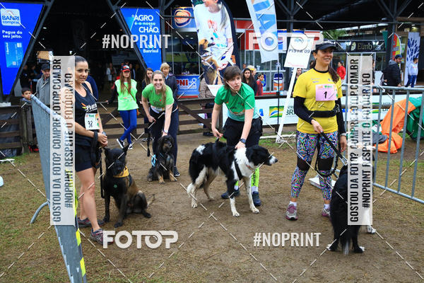 Buy your photos of the eventExpocani Vai Tot Canicross on Fotop