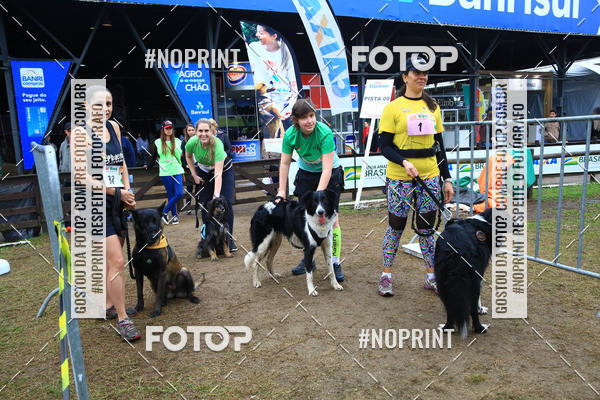 Buy your photos of the eventExpocani Vai Tot Canicross on Fotop