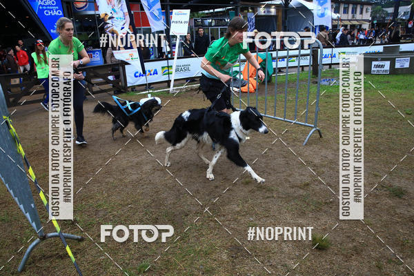Buy your photos of the eventExpocani Vai Tot Canicross on Fotop