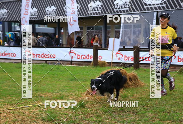 Buy your photos of the eventExpocani Vai Tot Canicross on Fotop