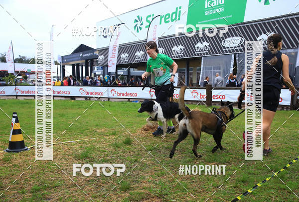 Buy your photos of the eventExpocani Vai Tot Canicross on Fotop