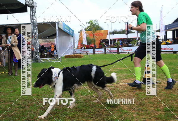 Buy your photos of the eventExpocani Vai Tot Canicross on Fotop