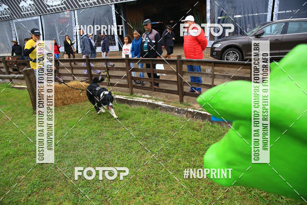 Buy your photos of the eventExpocani Vai Tot Canicross on Fotop