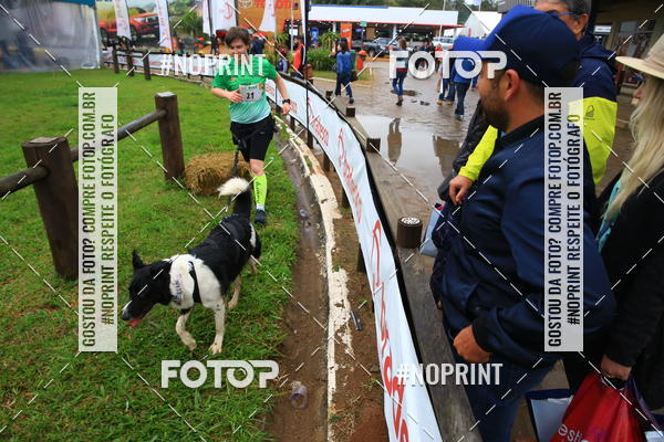Buy your photos of the eventExpocani Vai Tot Canicross on Fotop