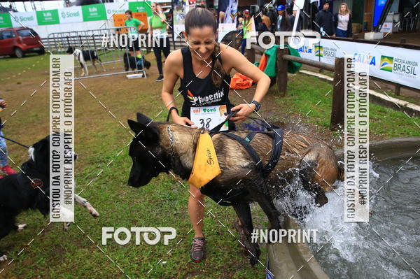 Buy your photos of the eventExpocani Vai Tot Canicross on Fotop