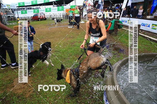 Buy your photos of the eventExpocani Vai Tot Canicross on Fotop