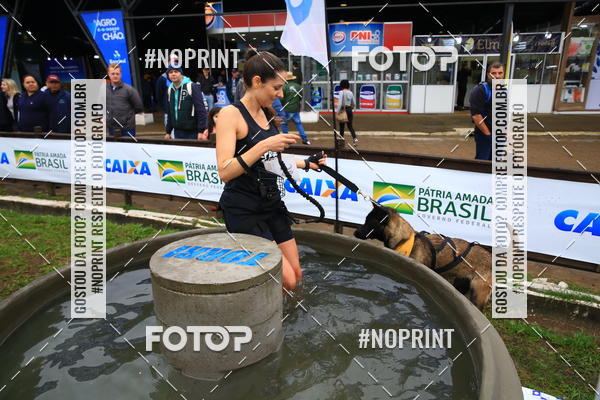 Buy your photos of the eventExpocani Vai Tot Canicross on Fotop