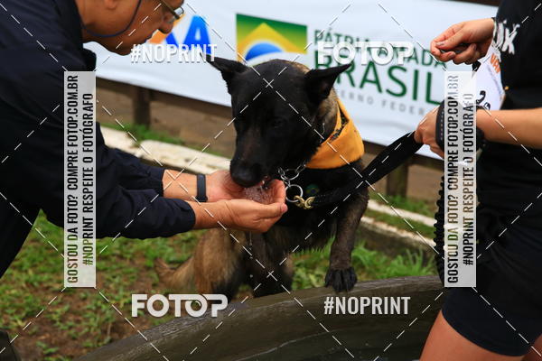 Buy your photos of the eventExpocani Vai Tot Canicross on Fotop