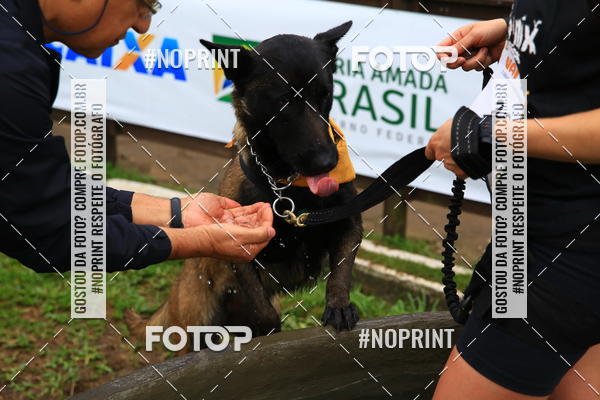 Buy your photos of the eventExpocani Vai Tot Canicross on Fotop
