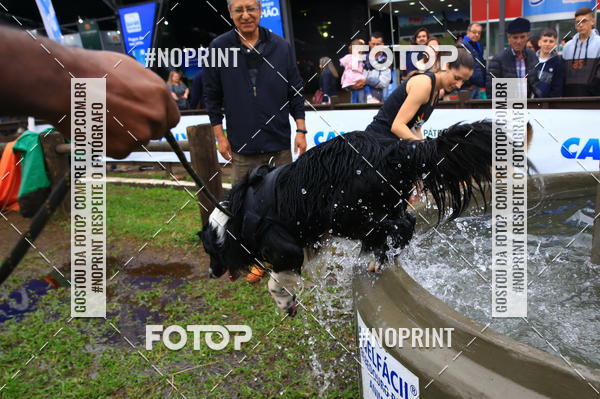 Compre as suas fotos do eventoExpocani Vai Tot Canicross no Fotop