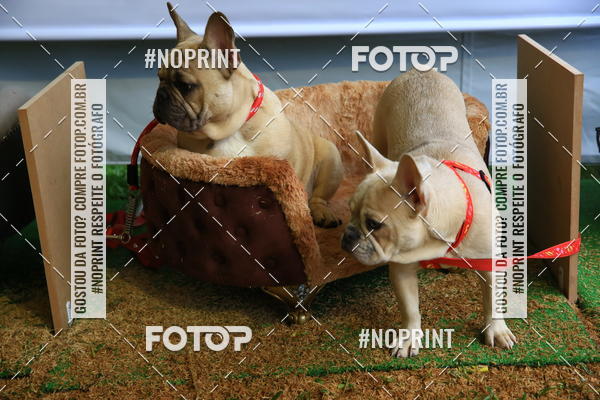 Buy your photos of the eventExpocani Vai Tot Canicross on Fotop