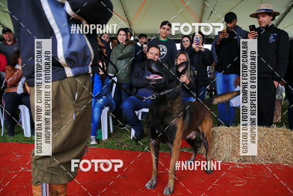 Buy your photos of the eventExpocani Vai Tot Canicross on Fotop