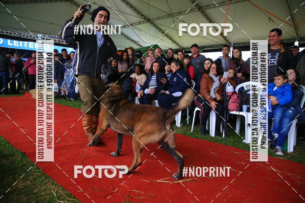 Buy your photos of the eventExpocani Vai Tot Canicross on Fotop