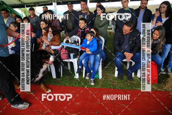 Buy your photos of the eventExpocani Vai Tot Canicross on Fotop