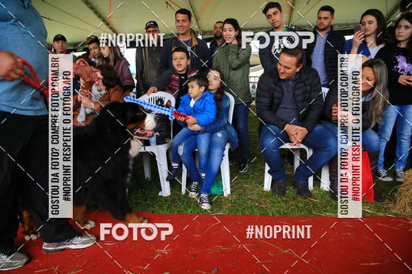 Buy your photos of the eventExpocani Vai Tot Canicross on Fotop