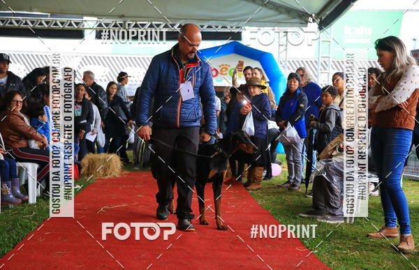 Buy your photos of the eventExpocani Vai Tot Canicross on Fotop