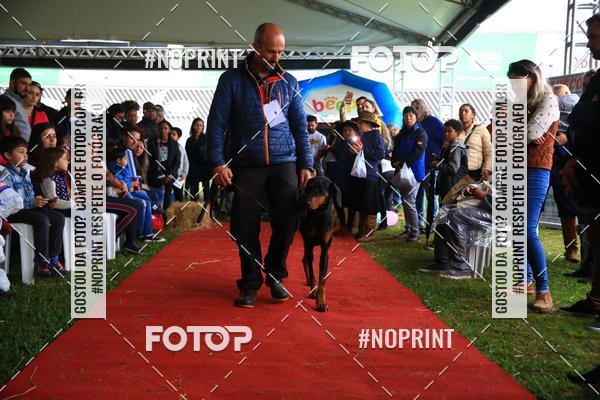 Buy your photos of the eventExpocani Vai Tot Canicross on Fotop