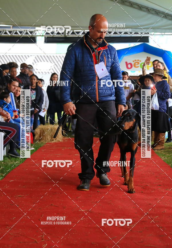 Buy your photos of the eventExpocani Vai Tot Canicross on Fotop