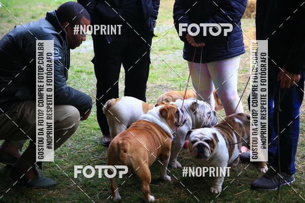 Buy your photos of the eventExpocani Vai Tot Canicross on Fotop