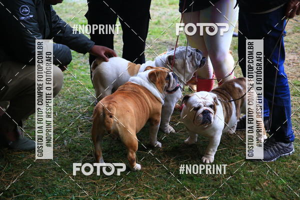 Buy your photos of the eventExpocani Vai Tot Canicross on Fotop