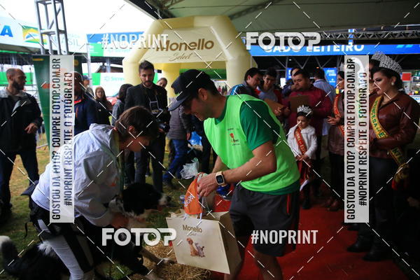 Buy your photos of the eventExpocani Vai Tot Canicross on Fotop