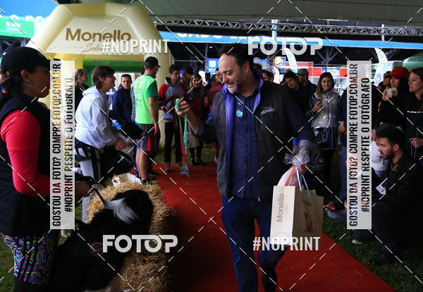 Buy your photos of the eventExpocani Vai Tot Canicross on Fotop