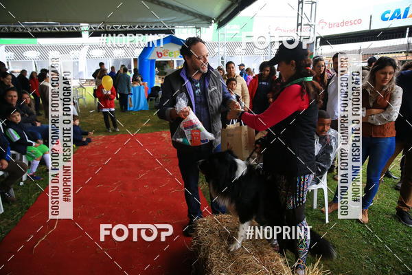 Buy your photos of the eventExpocani Vai Tot Canicross on Fotop