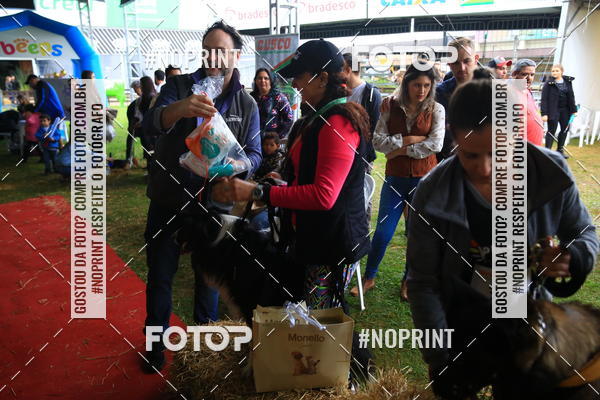 Buy your photos of the eventExpocani Vai Tot Canicross on Fotop
