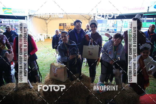 Buy your photos of the eventExpocani Vai Tot Canicross on Fotop