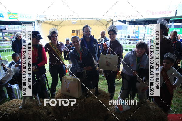 Buy your photos of the eventExpocani Vai Tot Canicross on Fotop