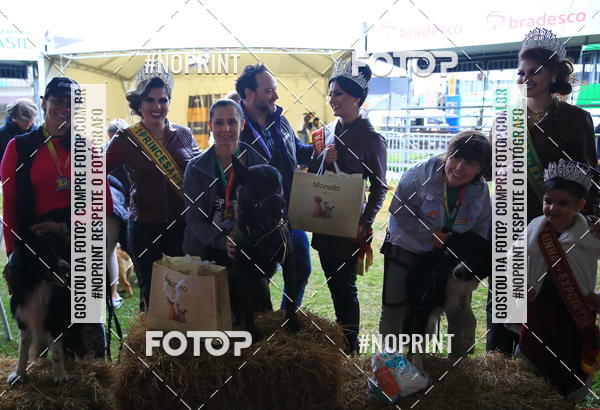 Buy your photos of the eventExpocani Vai Tot Canicross on Fotop