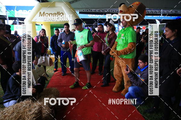 Buy your photos of the eventExpocani Vai Tot Canicross on Fotop