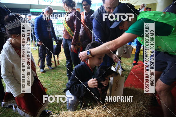 Buy your photos of the eventExpocani Vai Tot Canicross on Fotop