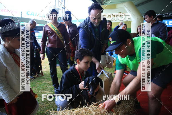 Buy your photos of the eventExpocani Vai Tot Canicross on Fotop