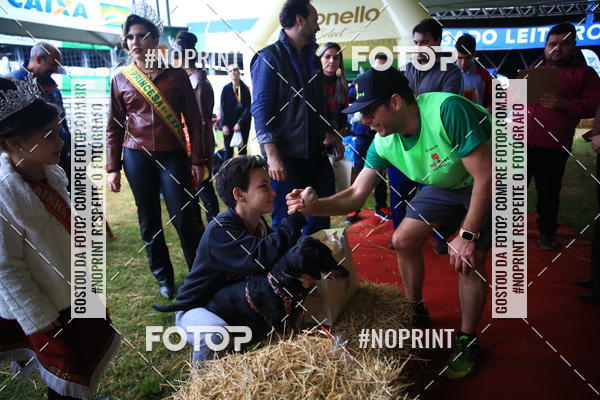 Buy your photos of the eventExpocani Vai Tot Canicross on Fotop