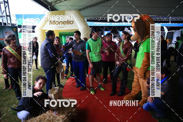 Buy your photos of the eventExpocani Vai Tot Canicross on Fotop