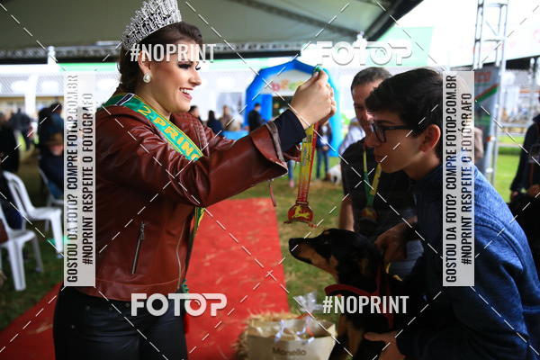 Buy your photos of the eventExpocani Vai Tot Canicross on Fotop