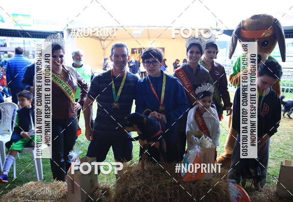 Buy your photos of the eventExpocani Vai Tot Canicross on Fotop