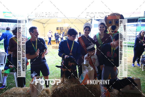 Buy your photos of the eventExpocani Vai Tot Canicross on Fotop