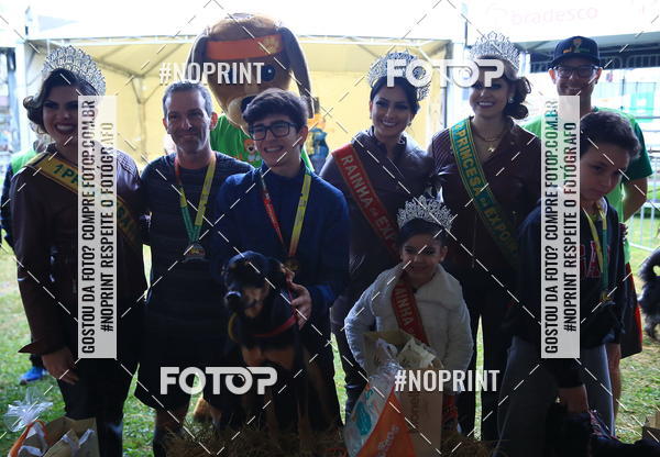 Buy your photos of the eventExpocani Vai Tot Canicross on Fotop