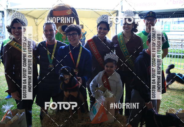 Buy your photos of the eventExpocani Vai Tot Canicross on Fotop