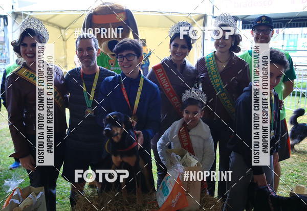 Buy your photos of the eventExpocani Vai Tot Canicross on Fotop