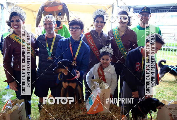 Buy your photos of the eventExpocani Vai Tot Canicross on Fotop