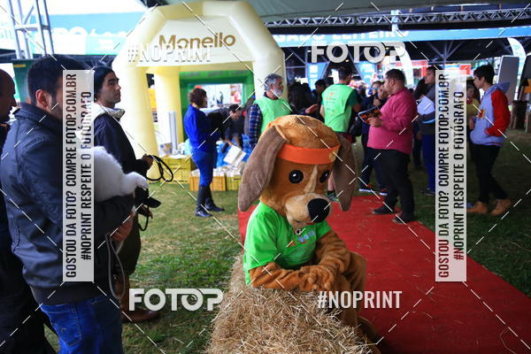 Buy your photos of the eventExpocani Vai Tot Canicross on Fotop